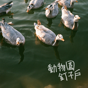 美女裸体自慰一区
