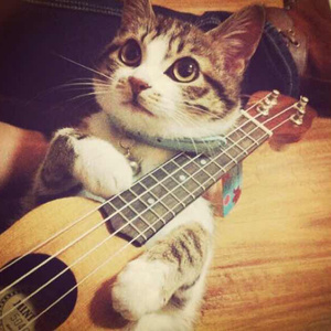 美女裸体自慰一区
